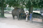 Thailand 1996