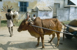 Indien 1991