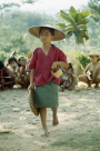 Indonesien 1993